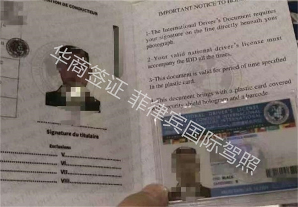 菲律賓沒駕照能申請國際駕照嗎(要多少錢)