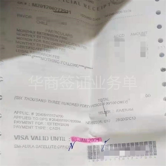 <strong>菲律賓簽證</strong>過期了怎么回國(簽證過期回國注意事項)
