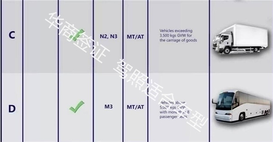 菲律賓開<strong>車</strong>需要什么駕照(最全駕照類型介紹)