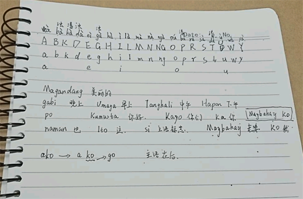 菲律賓說什么語言(可以說英語嗎)