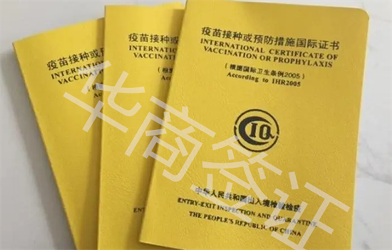 菲律賓旅游出境規定有哪些(旅游出境指南)