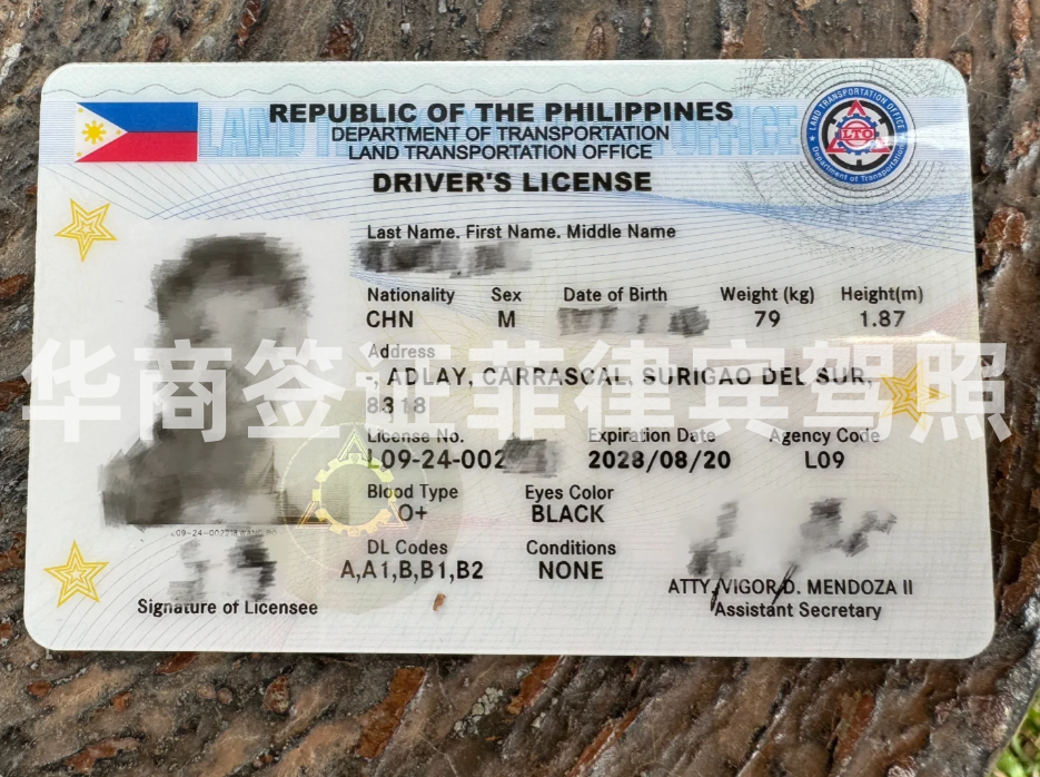 中國(guó)駕照能在菲律賓租車嗎(租車途徑)