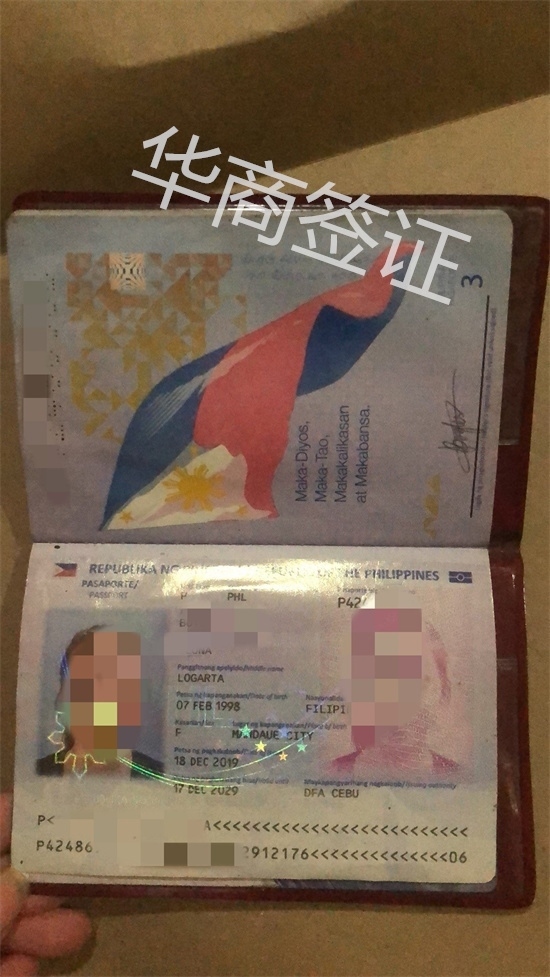 菲律賓護照可以辦幾次簽證（菲律賓旅游簽證<strong>多少錢</strong>）