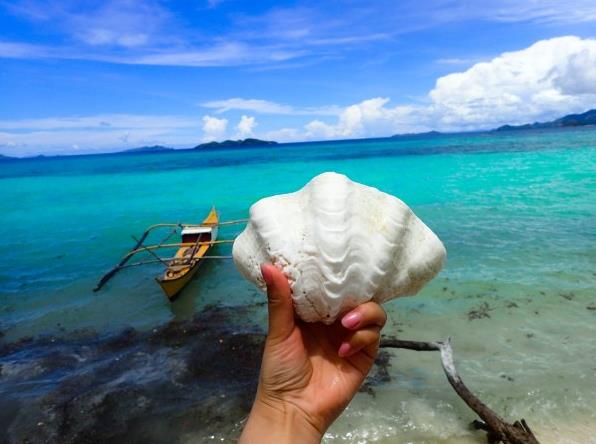菲律賓旅游團價格大概要多少(旅游團價格<strong>介紹</strong>)