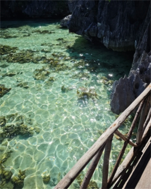中國去菲律賓旅游可以去哪里玩(費用大概多少)