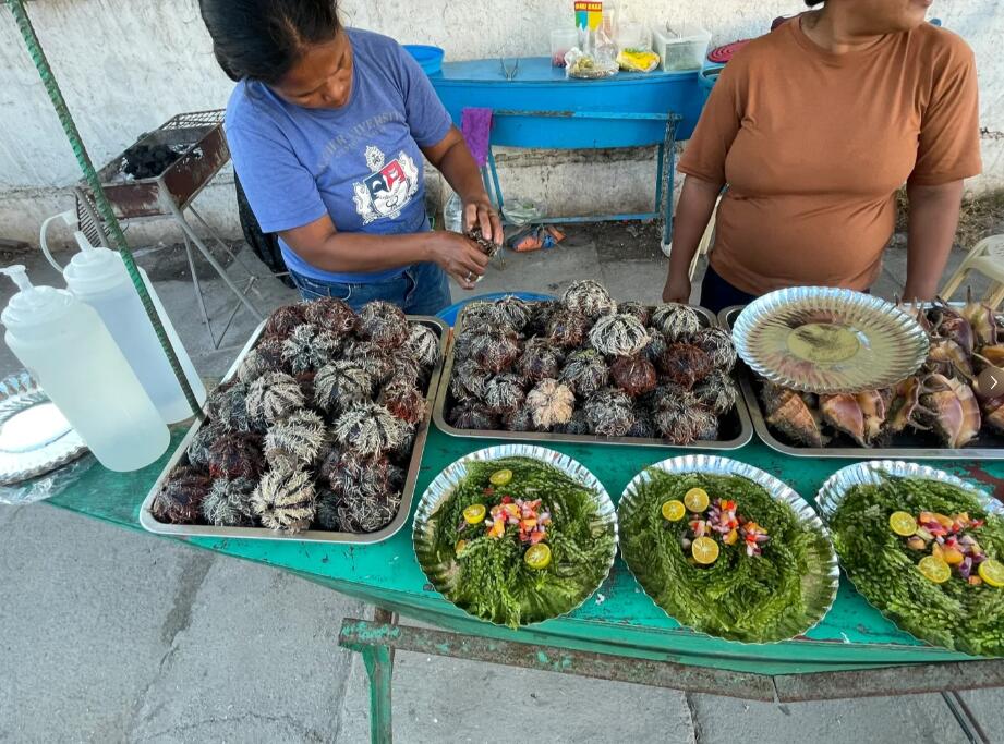 菲律賓薄荷島河邊海鮮貴嗎(薄荷島美食推薦)