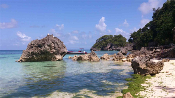 去菲律賓旅游大約要準備多少錢（美食有什么）