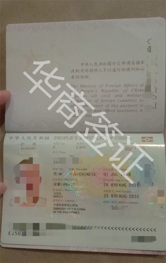 補辦護照流程