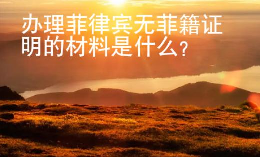 辦理菲律賓無菲籍證明的材料是什么？