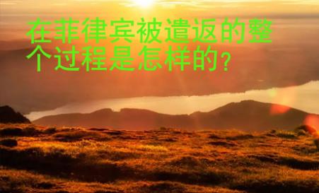 在菲律賓被遣返的整個過程是怎樣的？