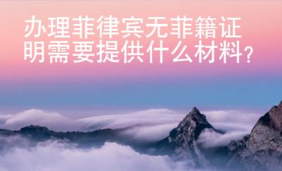 辦理菲律賓無菲籍證明需要提供什么材料？