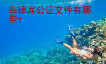 菲律賓公證文件有哪些？