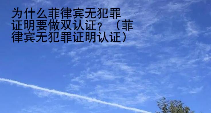 <strong>為什么</strong>菲律賓無犯罪證明要做雙認證