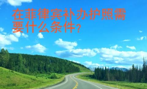 在菲律賓補辦護照需要什么條件