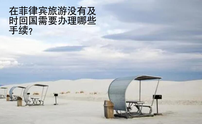 在菲律賓旅游沒有及時回國需要辦理哪些手續？