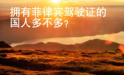 擁有菲律賓駕駛證的國人多不多？