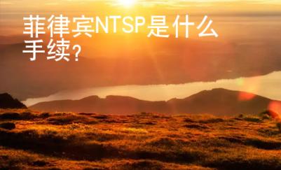 菲律賓NTSP是什么手續？