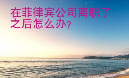 在菲律賓公司離職了之后怎么辦?