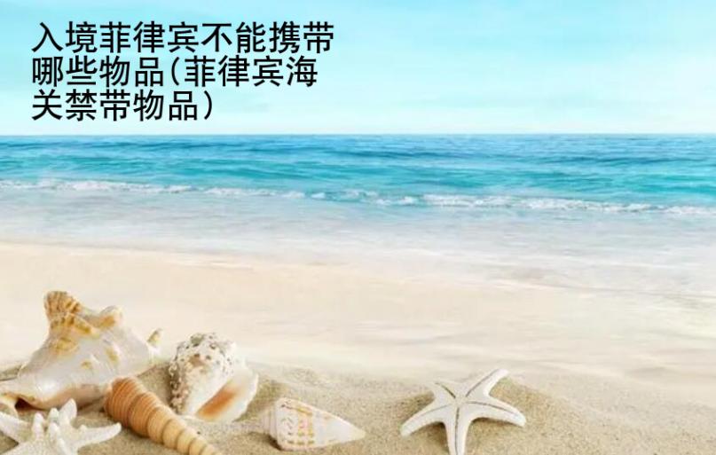 入境菲律賓不能攜帶<strong>哪些</strong>物品(菲律賓海關禁帶物品)
