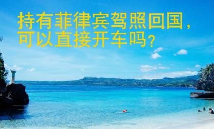 持有菲律賓駕照回國