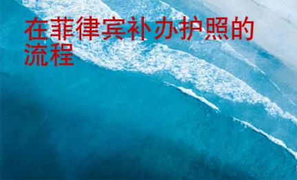 在菲律賓<strong>補辦</strong>護照的流程