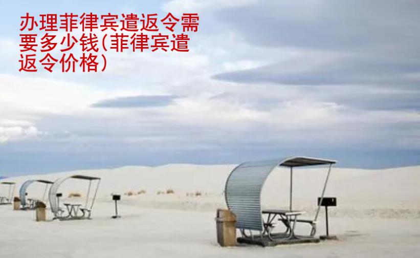 辦理<strong>菲律賓</strong>遣返令需要多少錢(菲律賓遣返令價格)