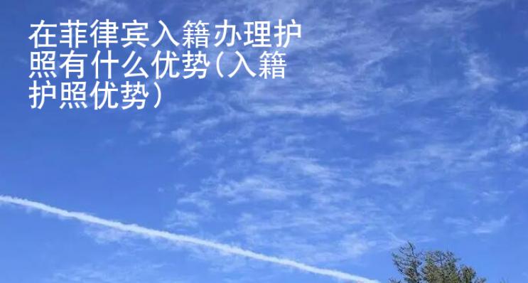 在菲律賓入籍辦理護照有什么優勢(入籍護照優勢)