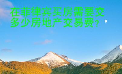在菲律賓買房需要交多少房地產交易費