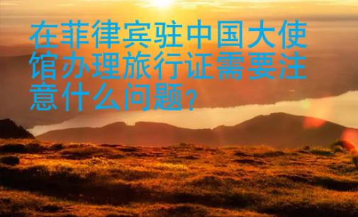 在菲律賓駐中國大使館辦理旅行證需要注意什么問題