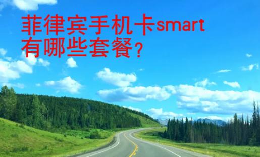 菲律賓<strong>手機卡</strong>smart有哪些套餐