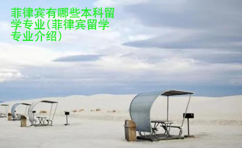 菲律賓有哪些本科留學(xué)專業(yè)(菲律賓留學(xué)專業(yè)介紹)