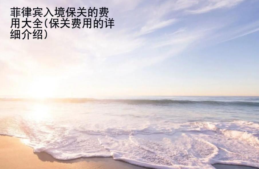 菲律賓入境保<strong>關的</strong>費用大全(保關費用的詳細介紹)