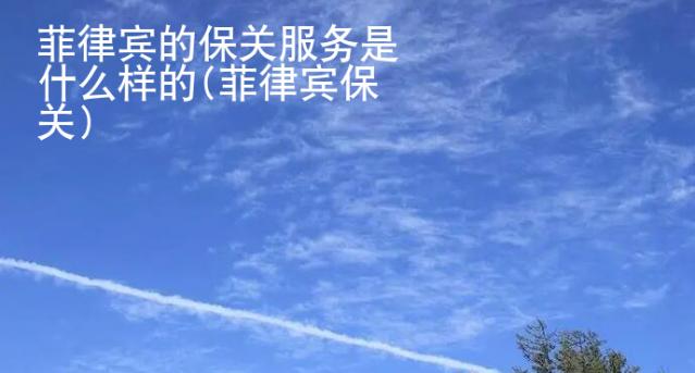 菲律賓的保關服務是什么樣的(菲律賓保關)