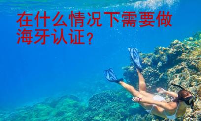 在什么情況下需要做海牙認證？