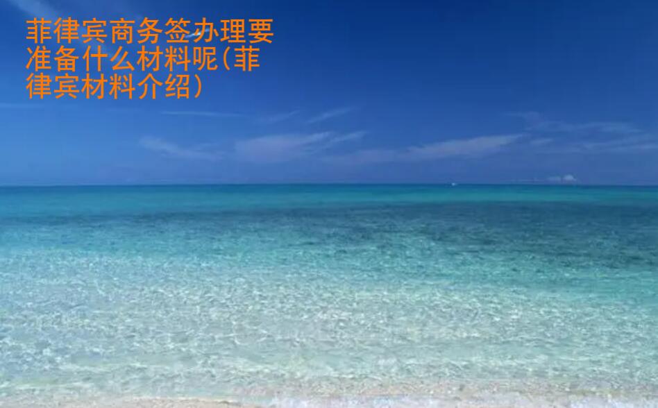 菲律賓商務簽辦理要準備<strong>什么</strong>材料呢(菲律賓材料介紹)