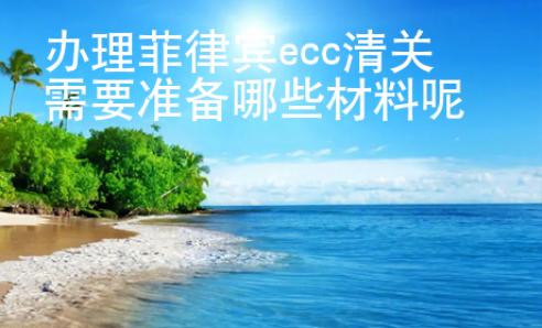 辦理菲律賓ecc清關需要準備哪些材料呢