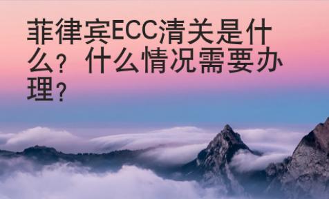 <strong>菲律賓</strong>ECC清關是什么