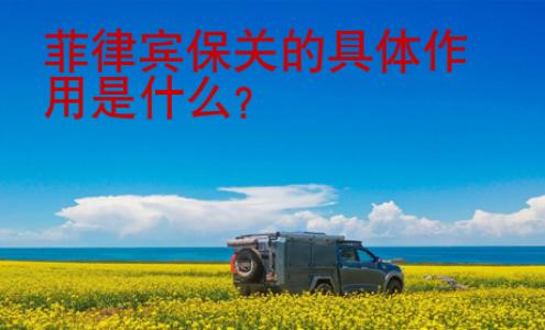 菲律賓保關(guān)的具體作用是什么？
