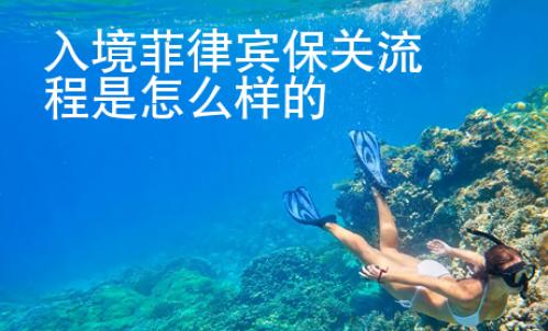 入境菲律賓保關(guān)流程是怎么樣的