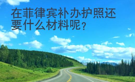 在菲律賓補辦護照還要什么材料呢