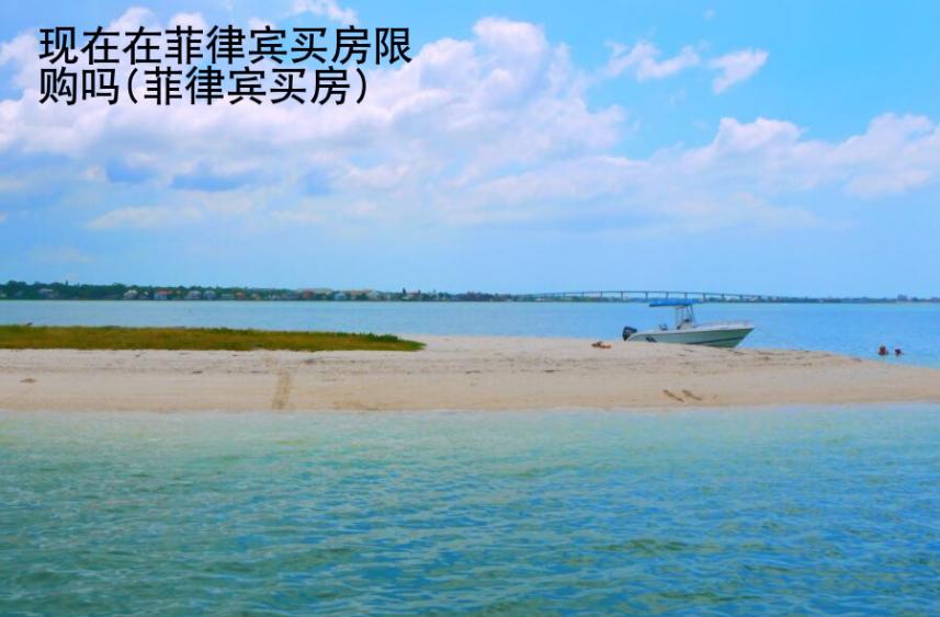 現在在菲律賓買房限購嗎(菲律賓買房)