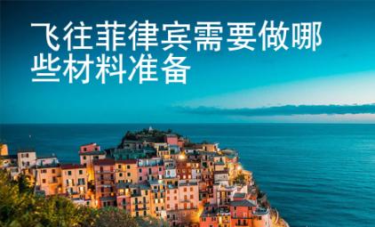 飛往菲律賓需要做哪些材料準備