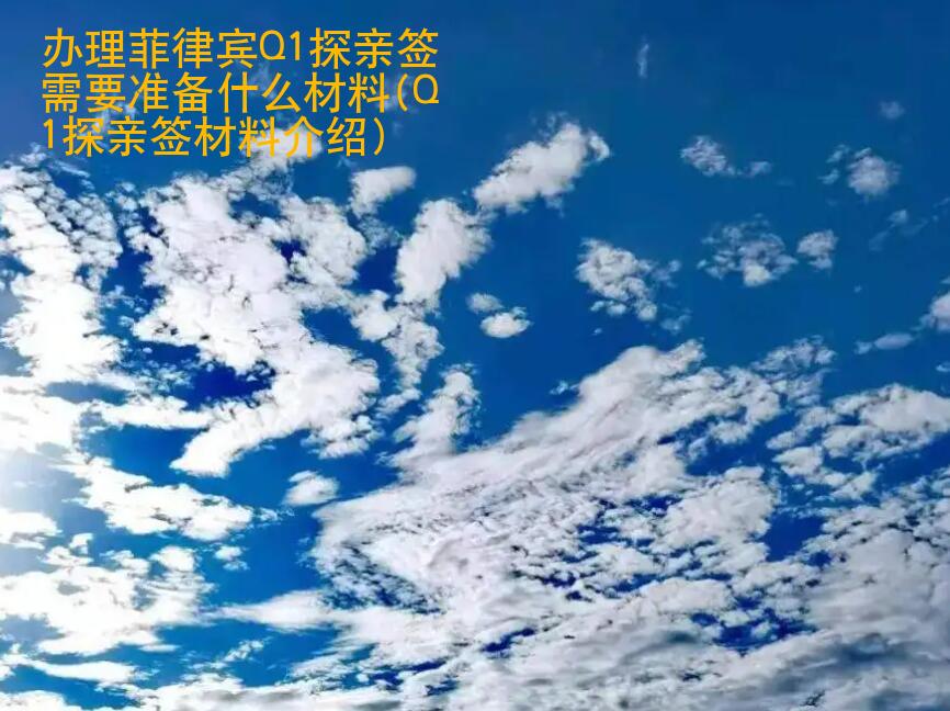辦理<strong>菲律賓</strong>Q1探親簽需要準(zhǔn)備什么材料(Q1探親簽材料介紹)