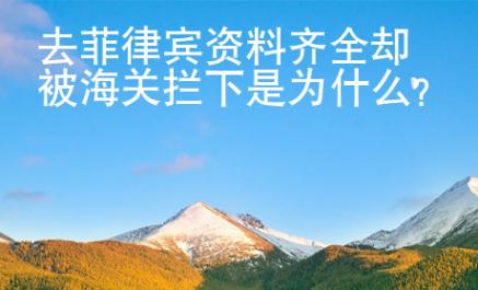 去菲律賓資料<strong>齊全</strong>卻被海關(guān)攔下是為什么