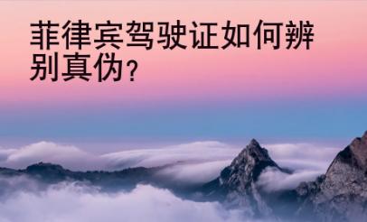 菲律賓駕駛證如何辨別真偽？
