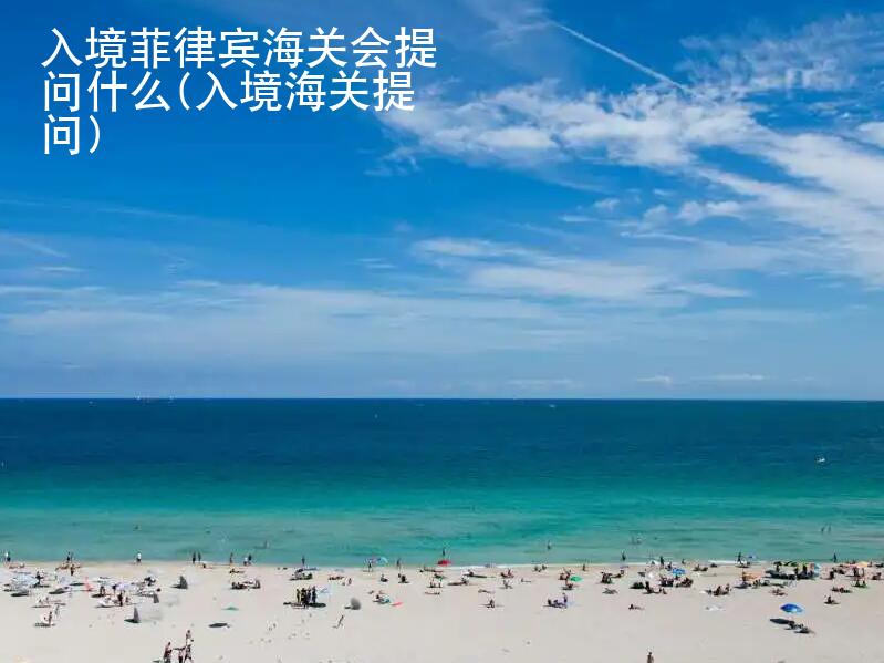 <strong>入境</strong>菲律賓海關會提問什么(入境海關提問)