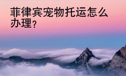 菲律賓寵物托運怎么辦理？