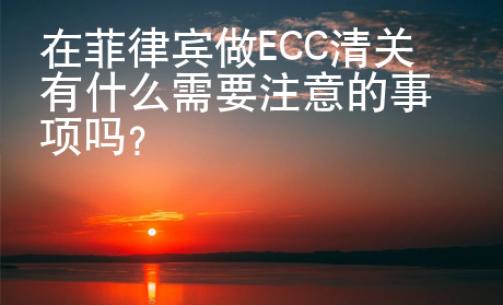 在菲律賓做<strong>ECC</strong>清關(guān)有什么需要注意的事項(xiàng)嗎