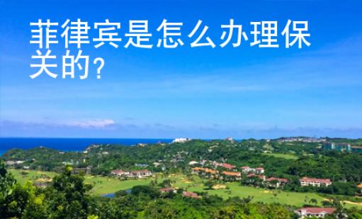 菲律賓是怎么<strong>辦</strong>理保關的