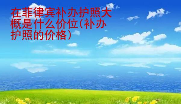在<strong>菲律賓</strong>補辦護照大概是什么價位(補辦護照的價格)